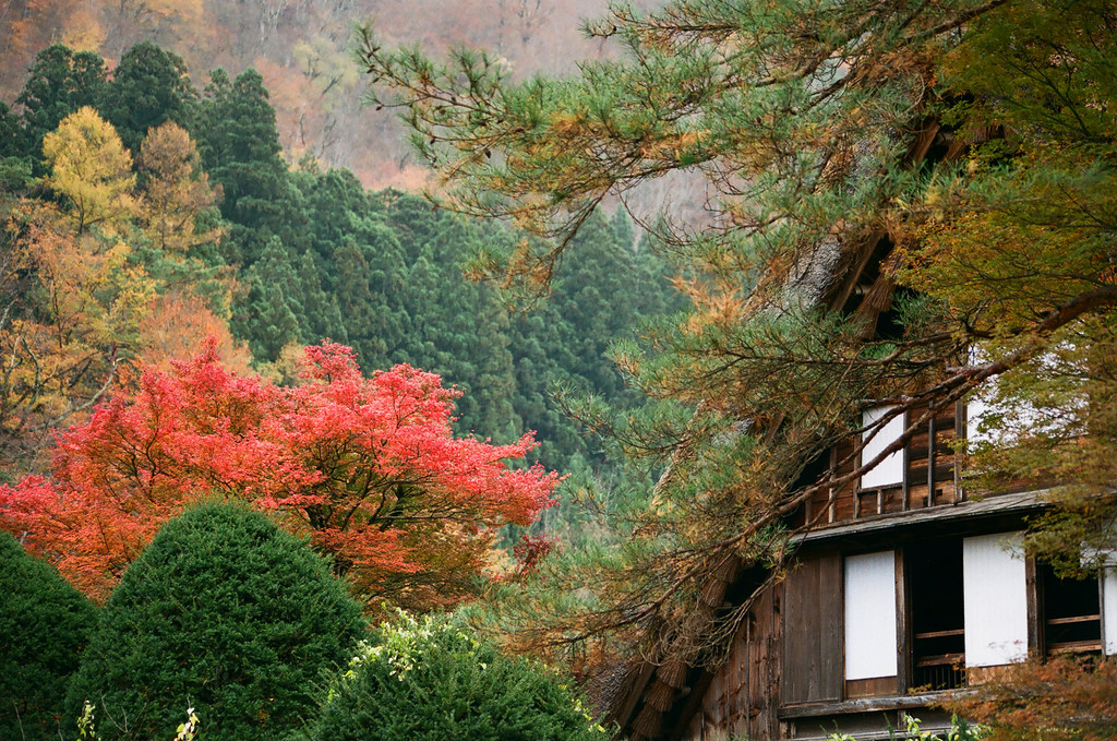 白川郷の四季折々の風景