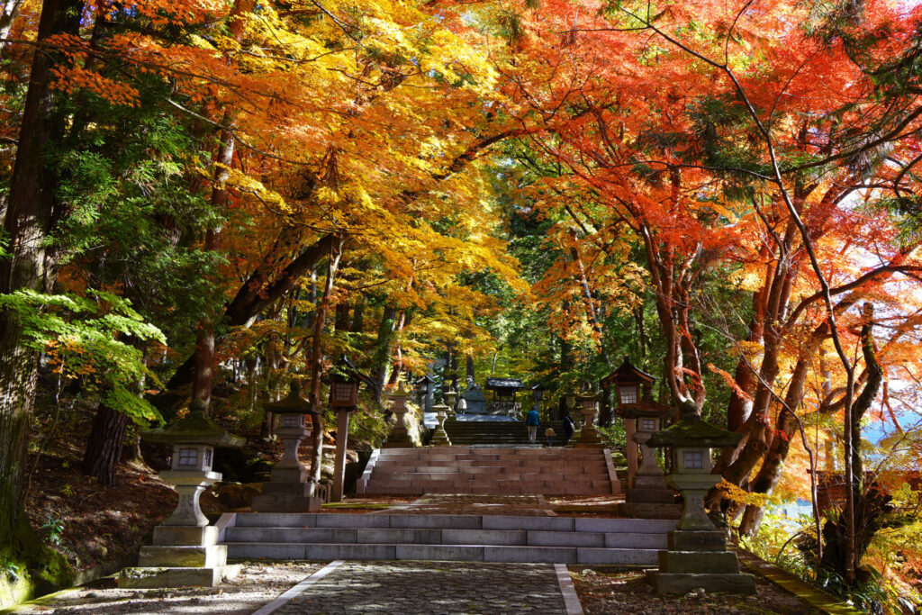 秋の日枝神社で紅葉を眺める