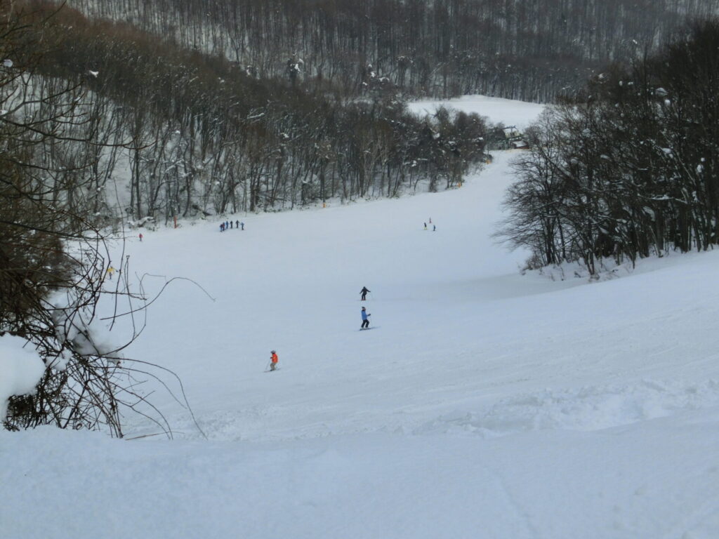 広々としたゲレンデで楽しむ藻岩山スキー場