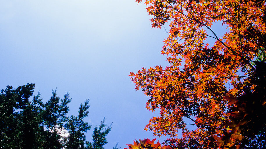 吹割の滝の紅葉　群馬