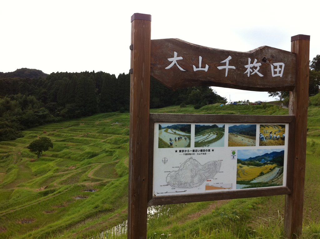 大山千枚田は11月にライトアップ