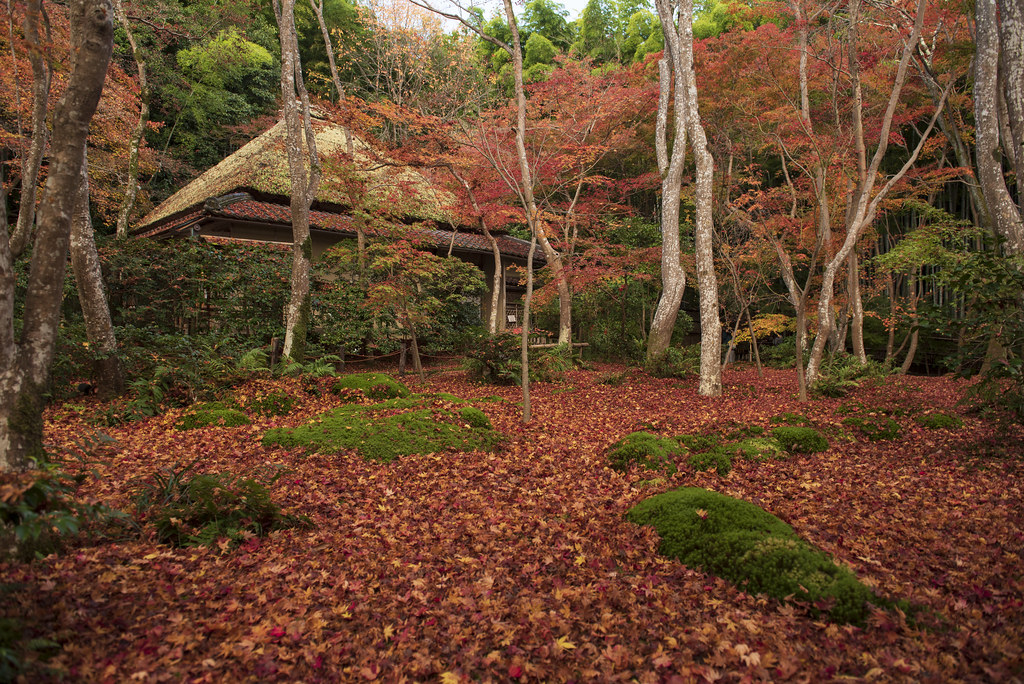 嵐山の紅葉スポット・祇王寺