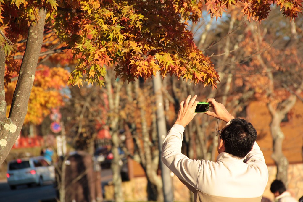 隠れた紅葉スポットも多い、11月の日光