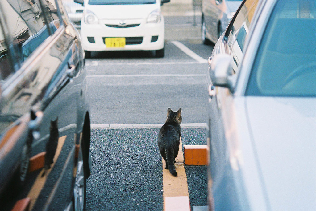 駐車場情報