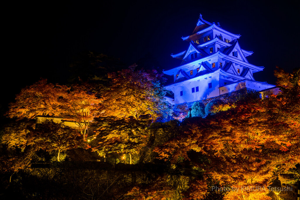 郡上八幡城のライトアップ