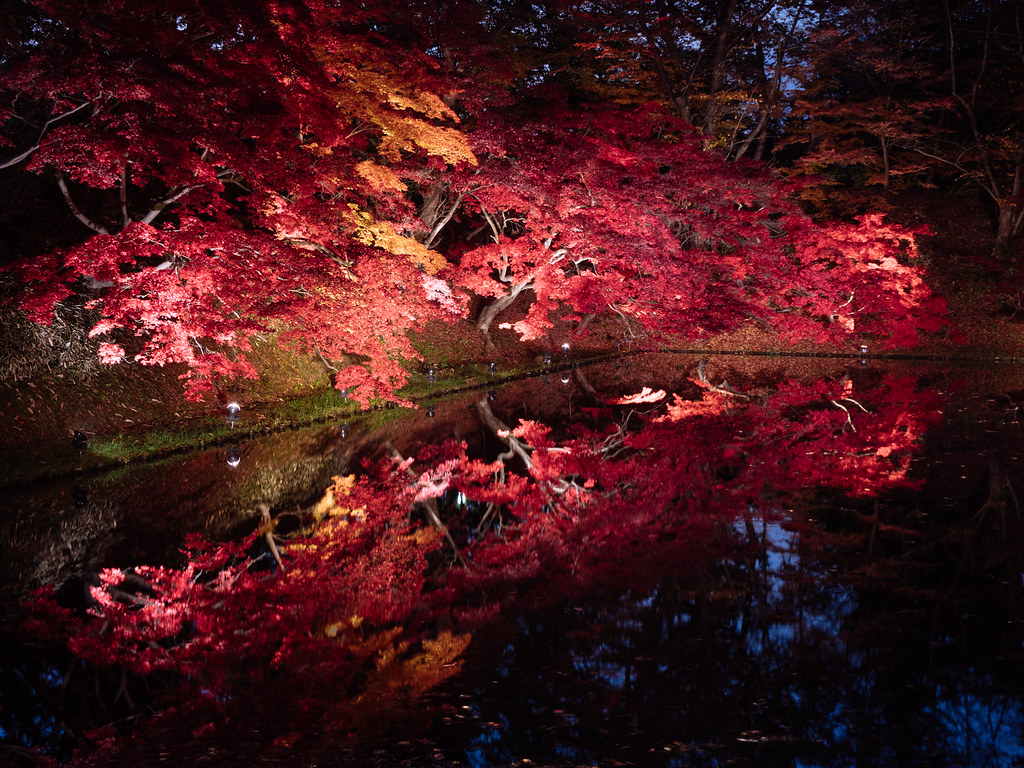 弘前公園は紅葉が見事