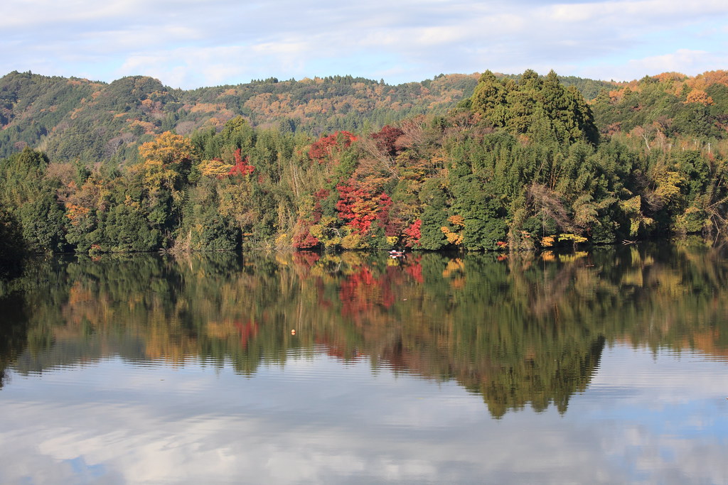 亀山湖の紅葉クルーズで紅葉の美しさを堪能しよう