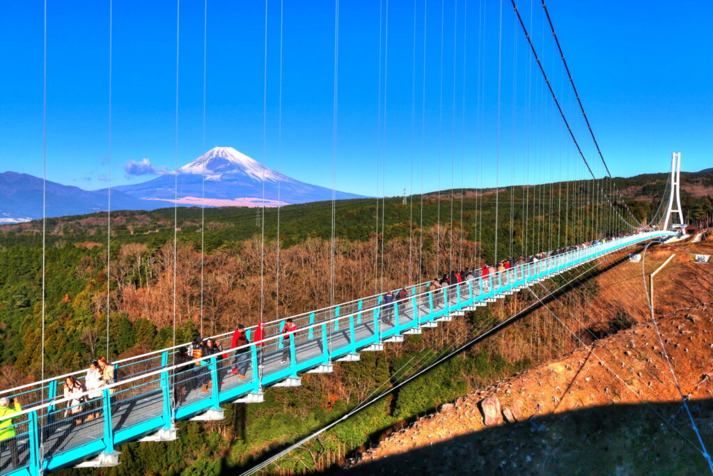 絶景が広がる三島スカイウォーク