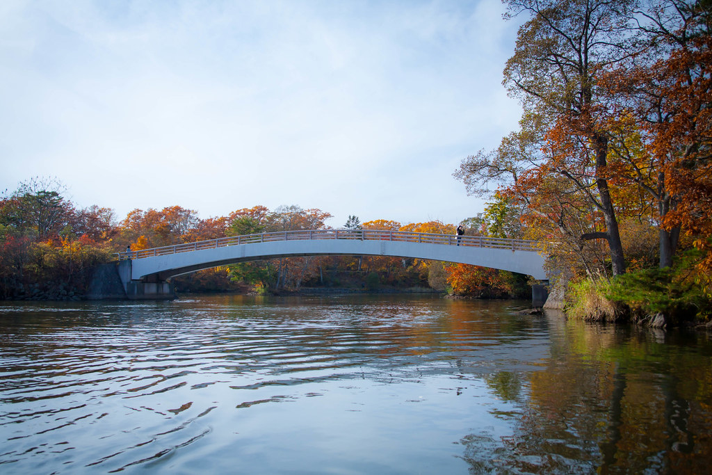 大沼国定公園は紅葉の時期にも訪れたい