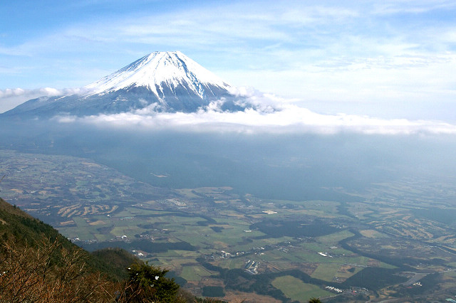 雲から顔を出す富士山を朝霧高原から