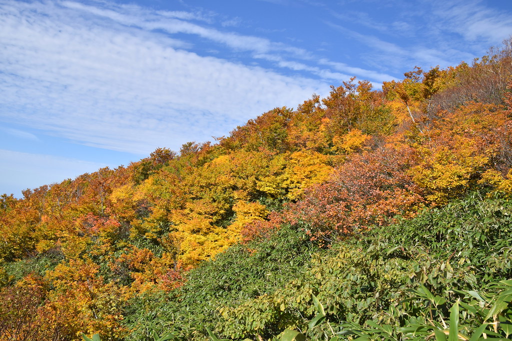 弘前の自然で紅葉を満喫しよう