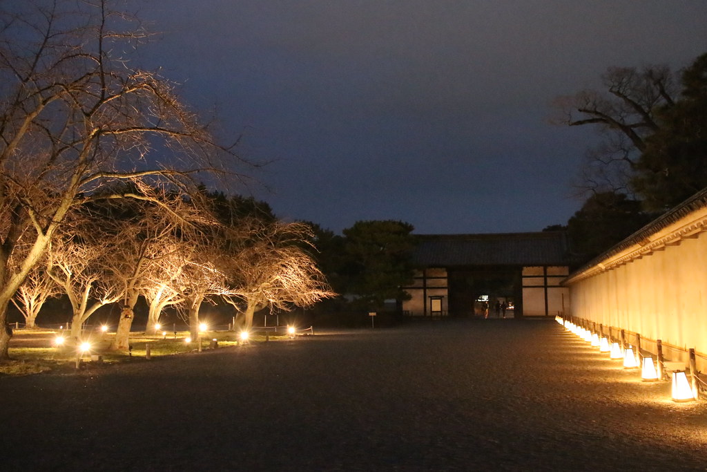 京都の冬の自然と景観