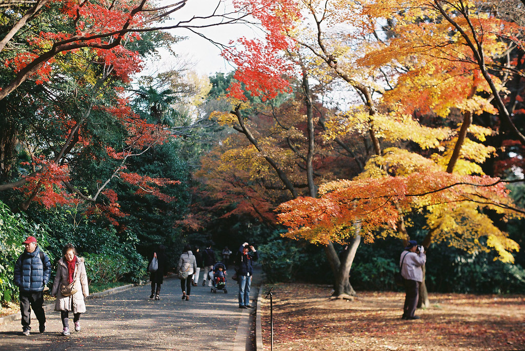 東京の10月の観光名所