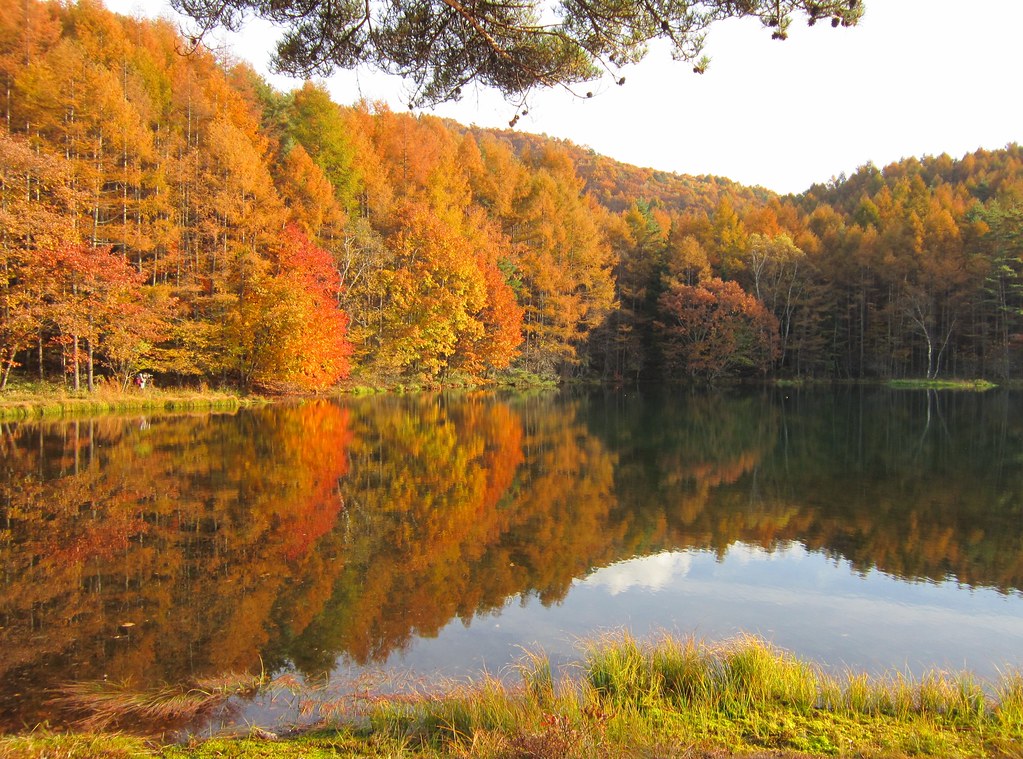 11月の蓼科観光で訪れたい御射鹿池の紅葉