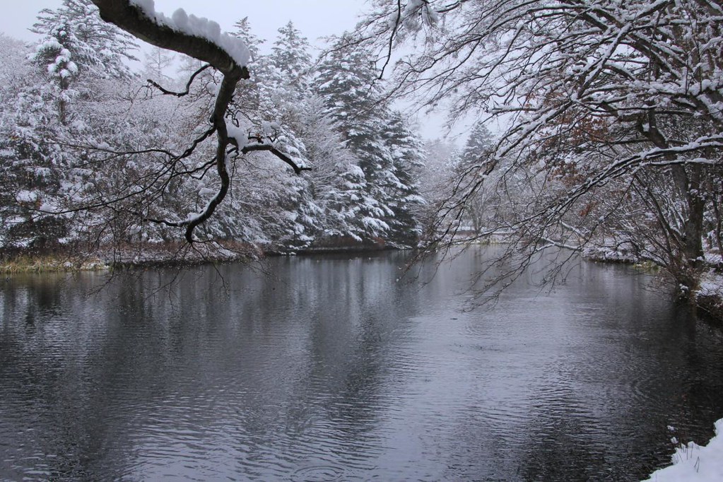 冬の雲場池の雪景色