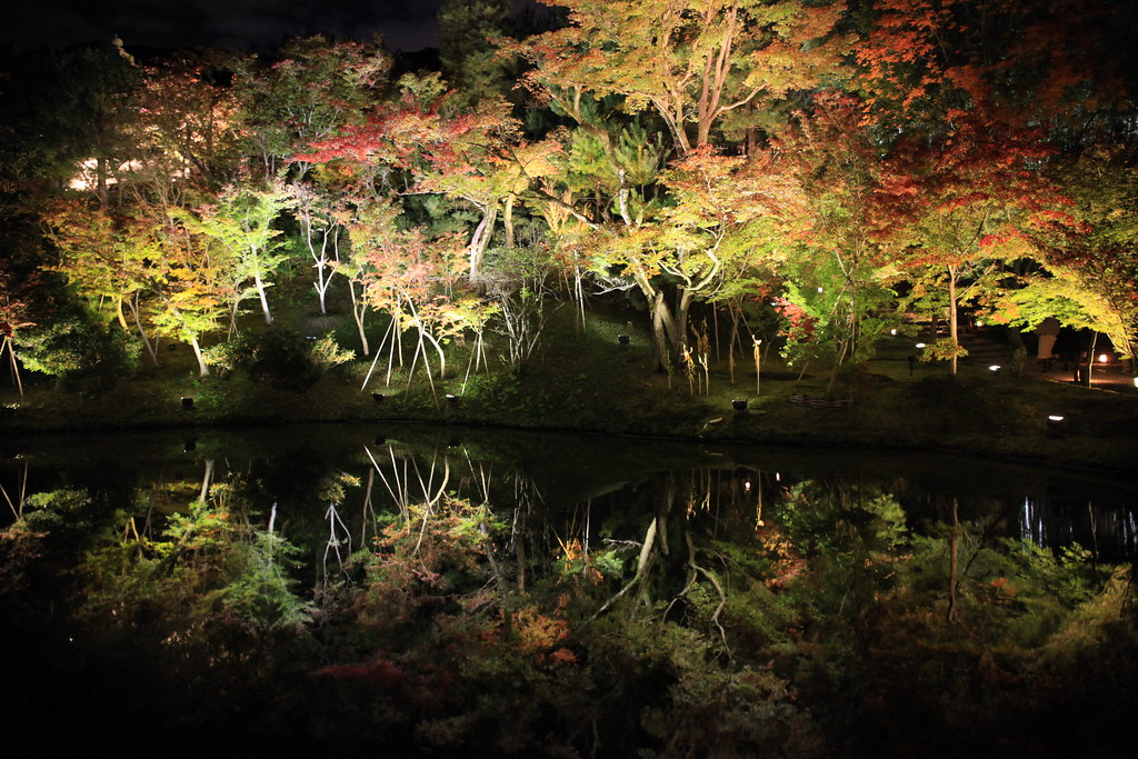 冬の紅葉が美しいことで知られています