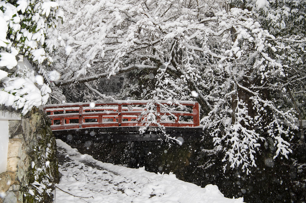 1月の京都観光の基本情報