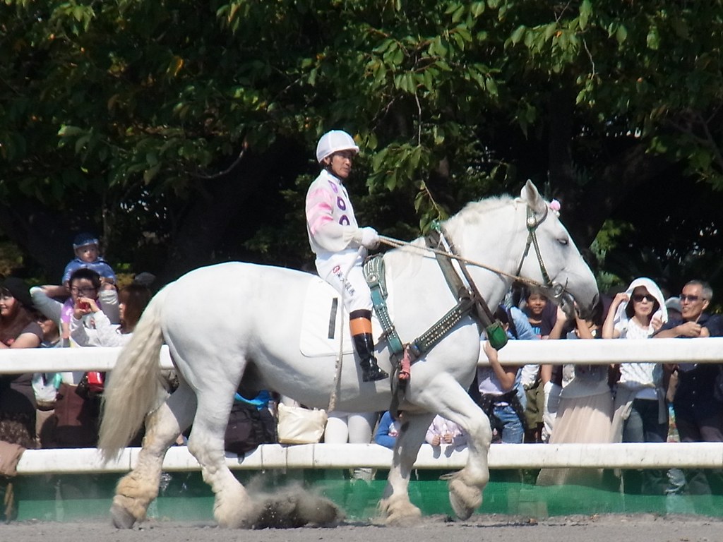 冬季限定のレースが開催される「ばんえい競馬」