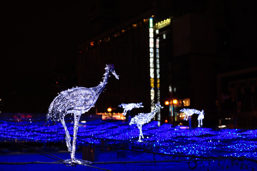 札幌で行くさっぽろホワイトイルミネーション