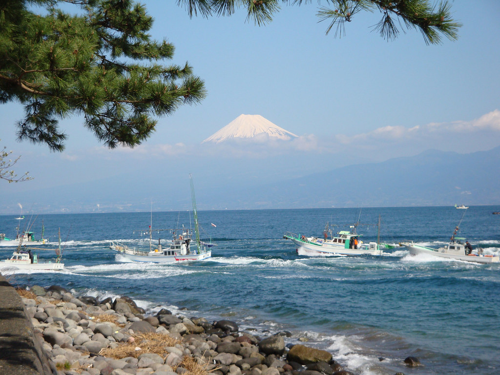 静岡の冬は絶景とアクティビティで満喫しましょう