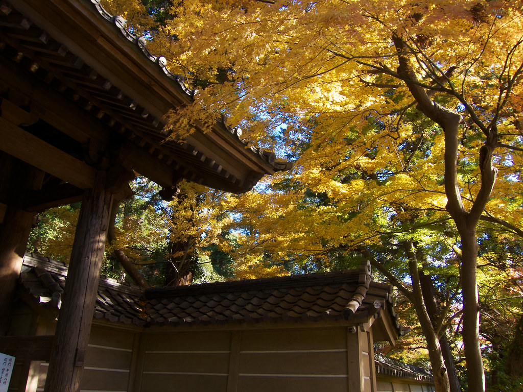 鎌倉の紅葉名所「円覚寺」