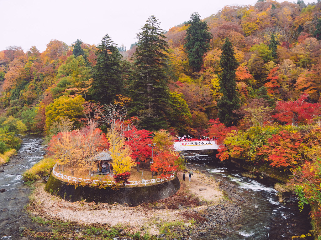 中野もみじ山は、紅葉の名所