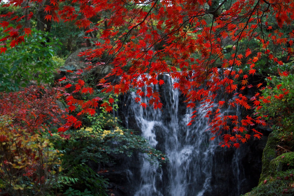 紅葉の中で自然を感じる滝