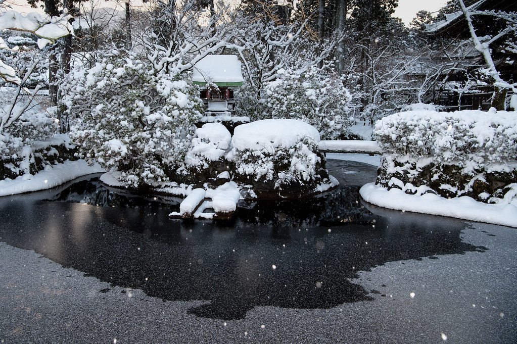 京都の冬の風景を楽しむのに最適なスポット