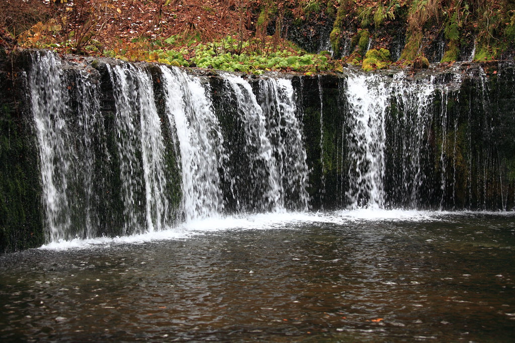 紅葉とのコントラストが美しい白糸の滝　