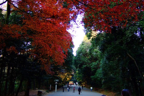 紅葉が美しい明治神宮