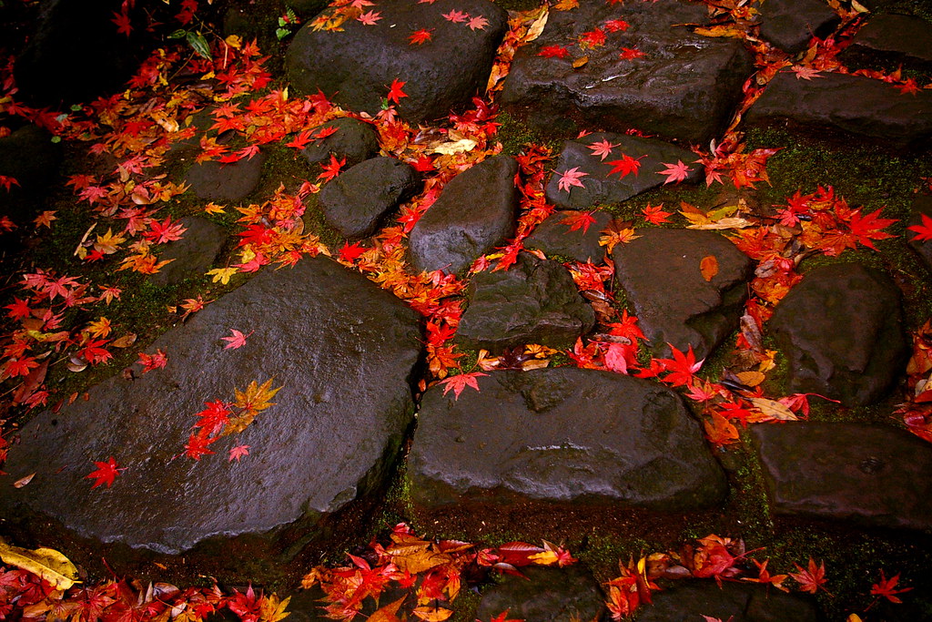 湯河原の紅葉の名所