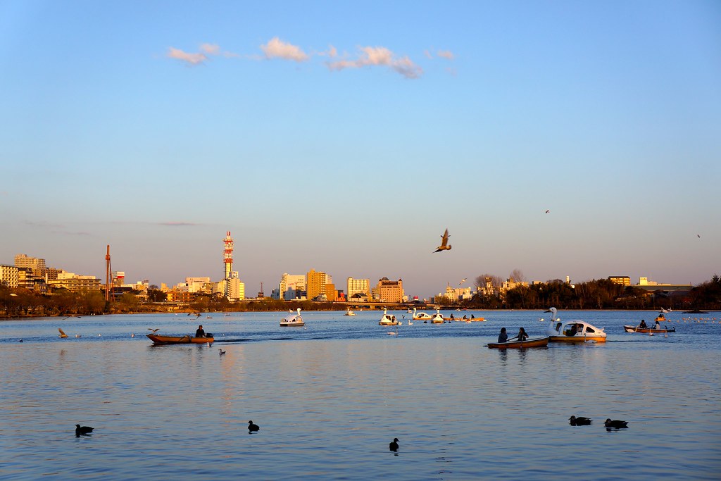 水戸市の夕暮れ時千波湖の風景