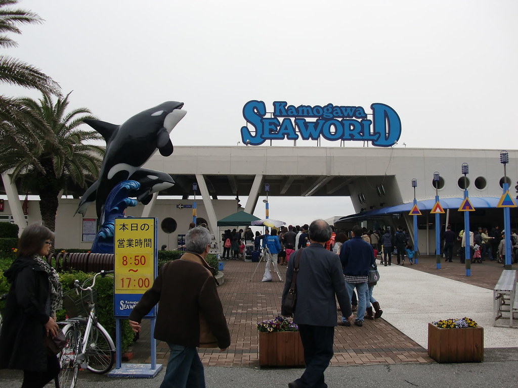 千葉県鴨川市に位置する人気の水族館「鴨川シーワールド」