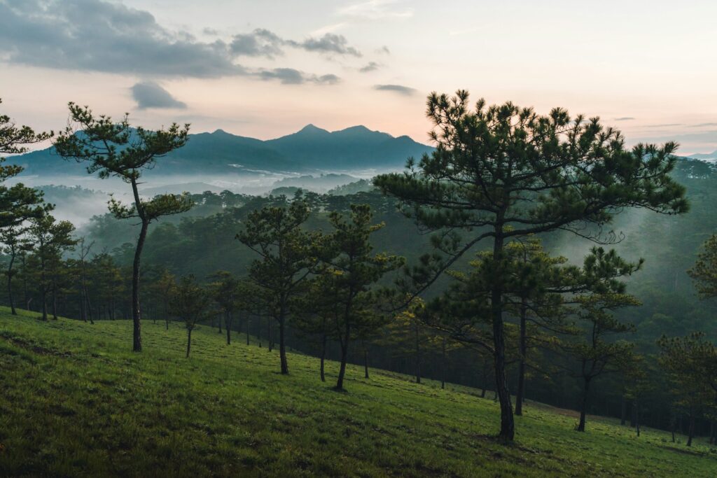 ダラットの山岳地帯を探訪