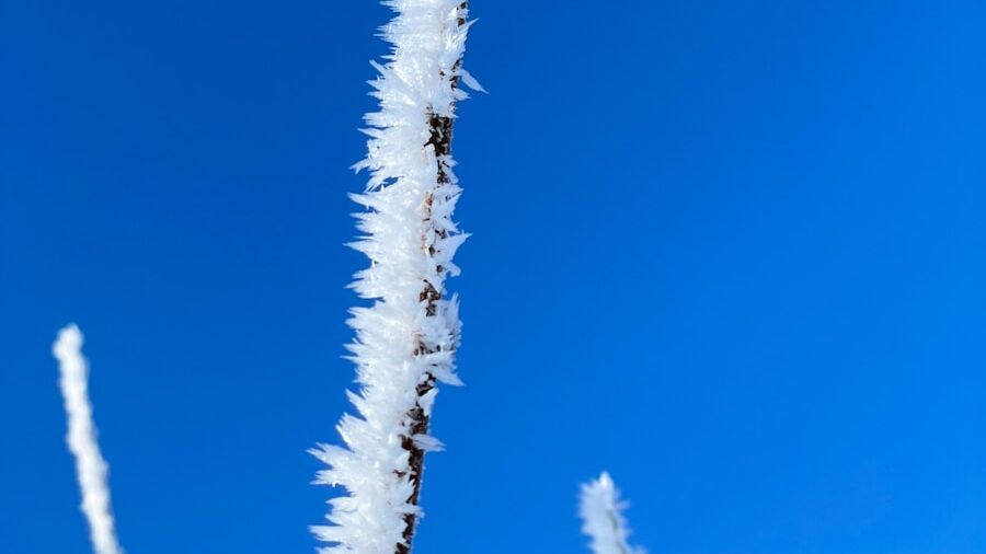 11月の支笏湖の天候と気温