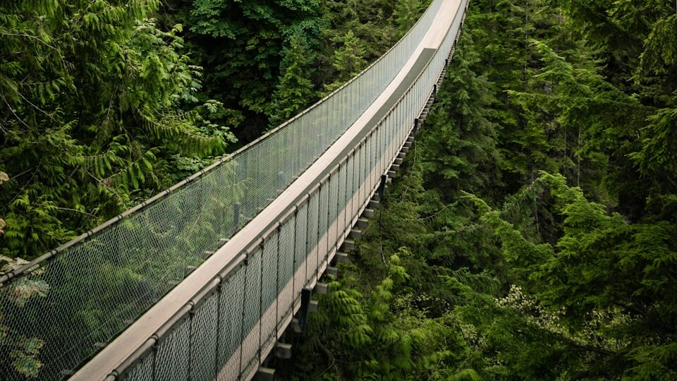 自然と冒険が融合した素晴らしい観光スポットキャピラノ吊り橋