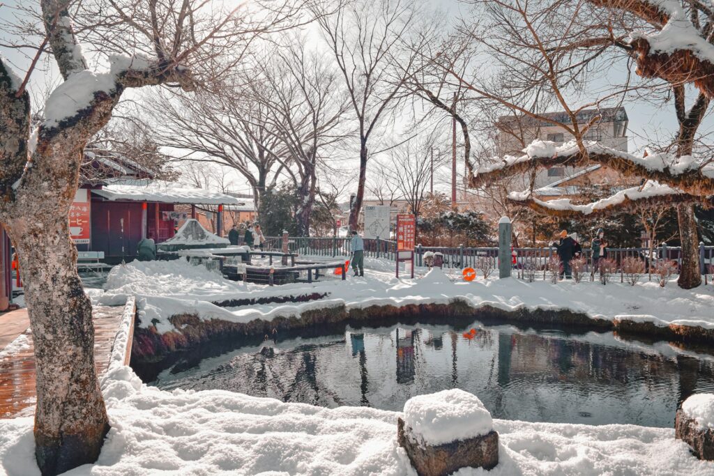 忍野八海の冬景色