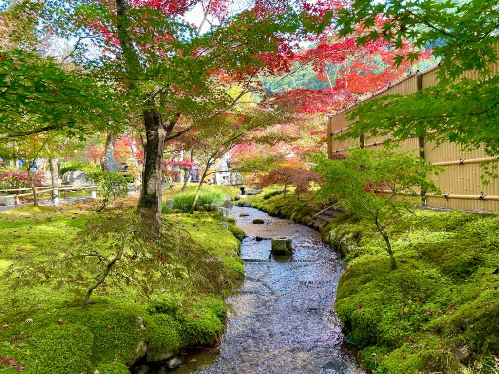 秋の京都の庭