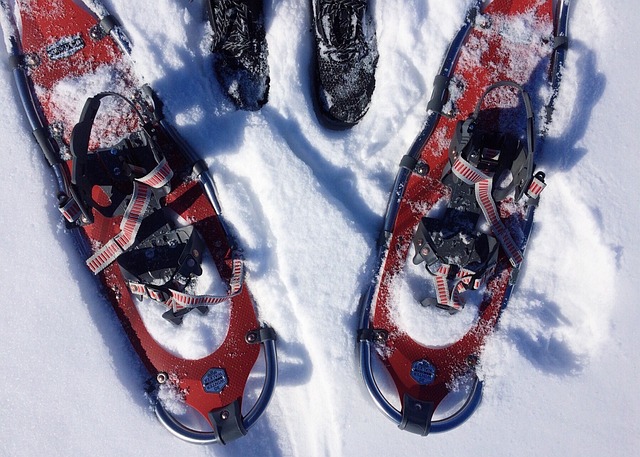 スノーシューを使って雪の中を歩く様子