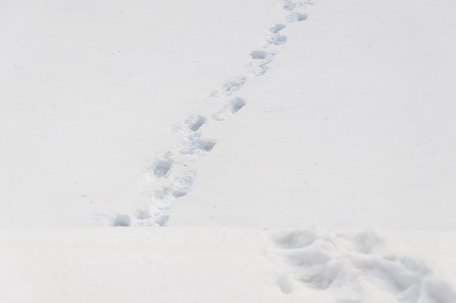 雪道のハイキングでついた足跡