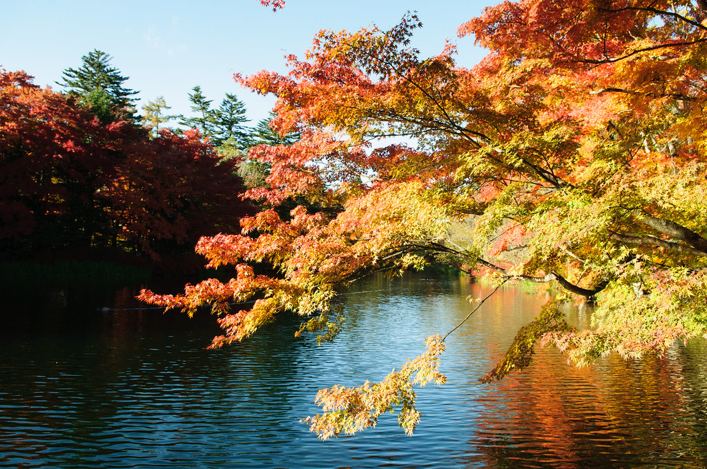 もみじ湖の紅葉