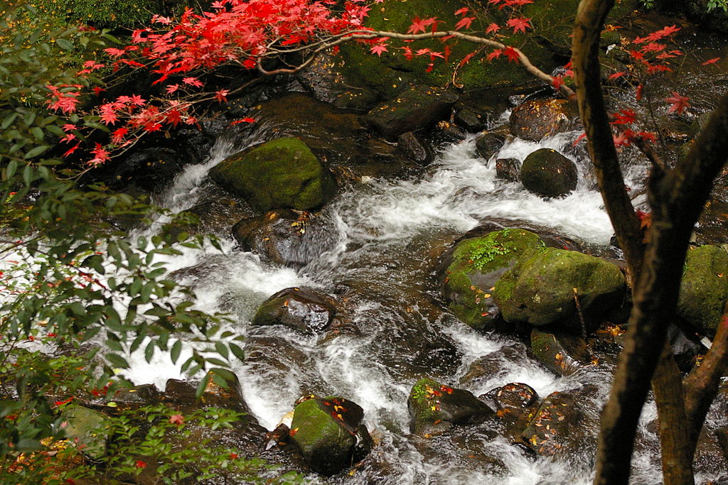 湯河原にある紅葉の名所・万葉公園のせせらぎ