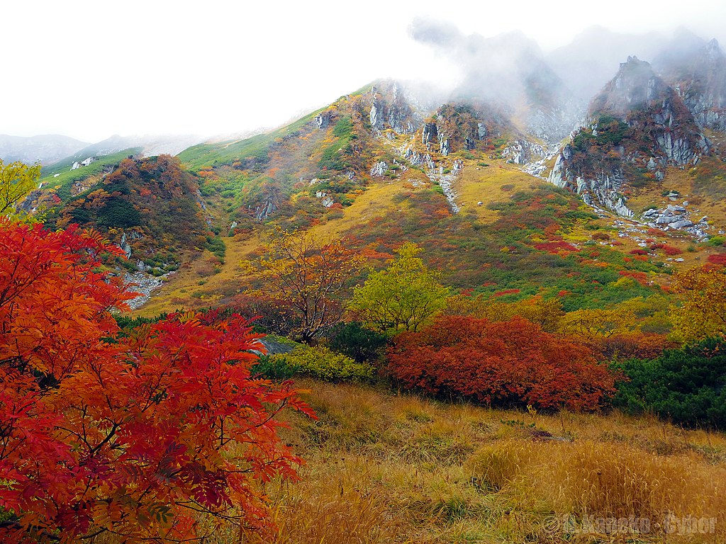 千畳敷カールの紅葉