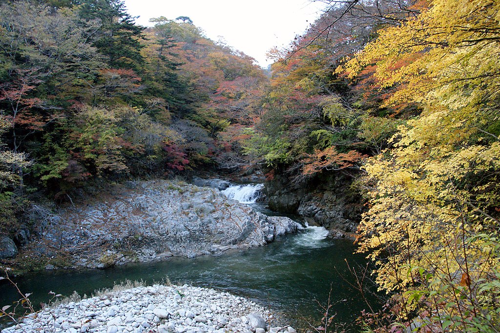 夏井川渓谷の紅葉