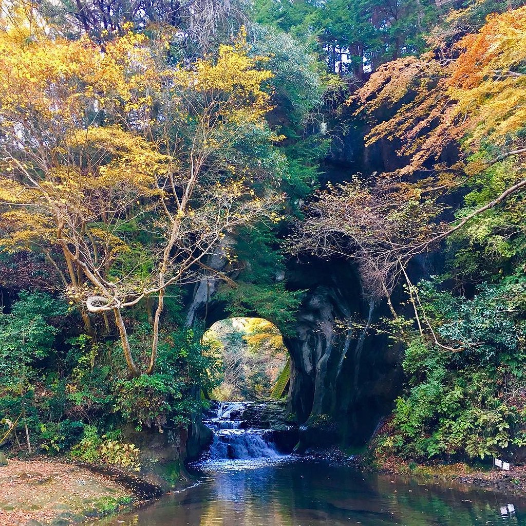 ジブリの世界に迷い込んだかのような神秘的な滝「濃溝の滝」