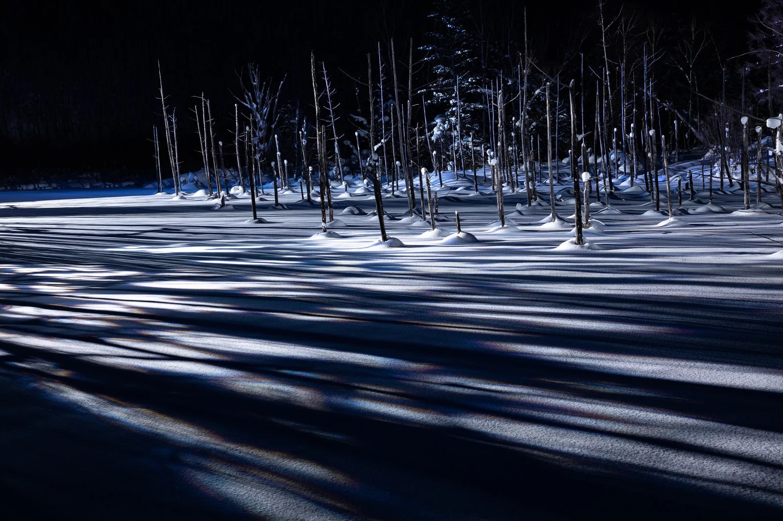 雪積もる夜の美瑛の青い池の神秘的な風景