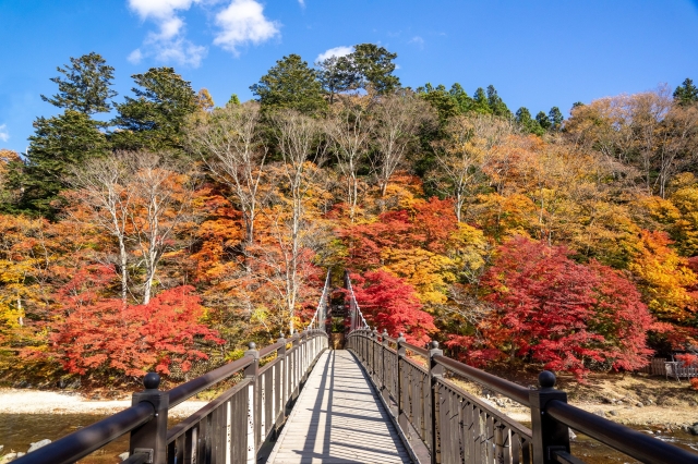 那須塩原 紅の吊橋の紅葉