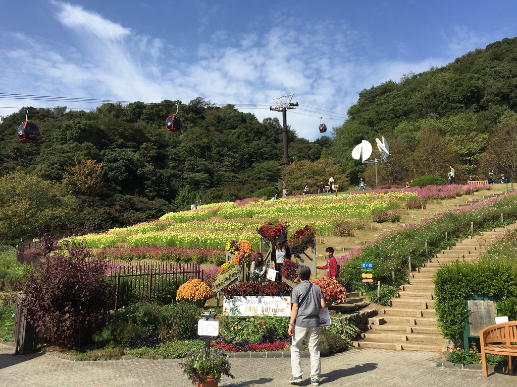 神戸布引ハーブ園、綺麗に育ったハーブとその上空を進むロープウェイ