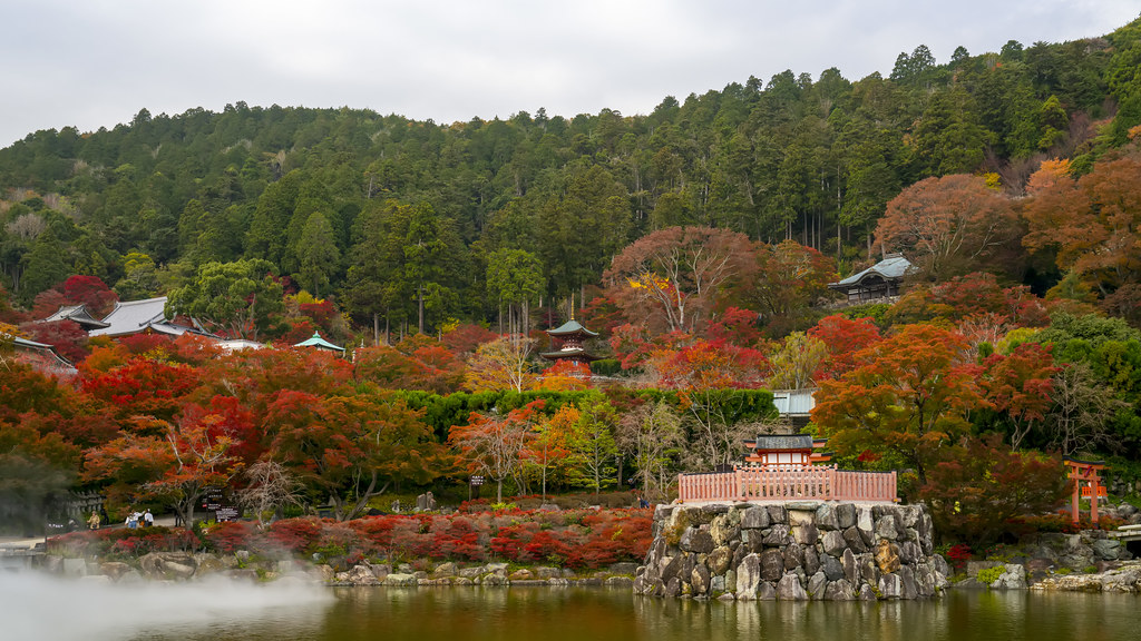 境内が赤や黄色に染まる勝尾寺