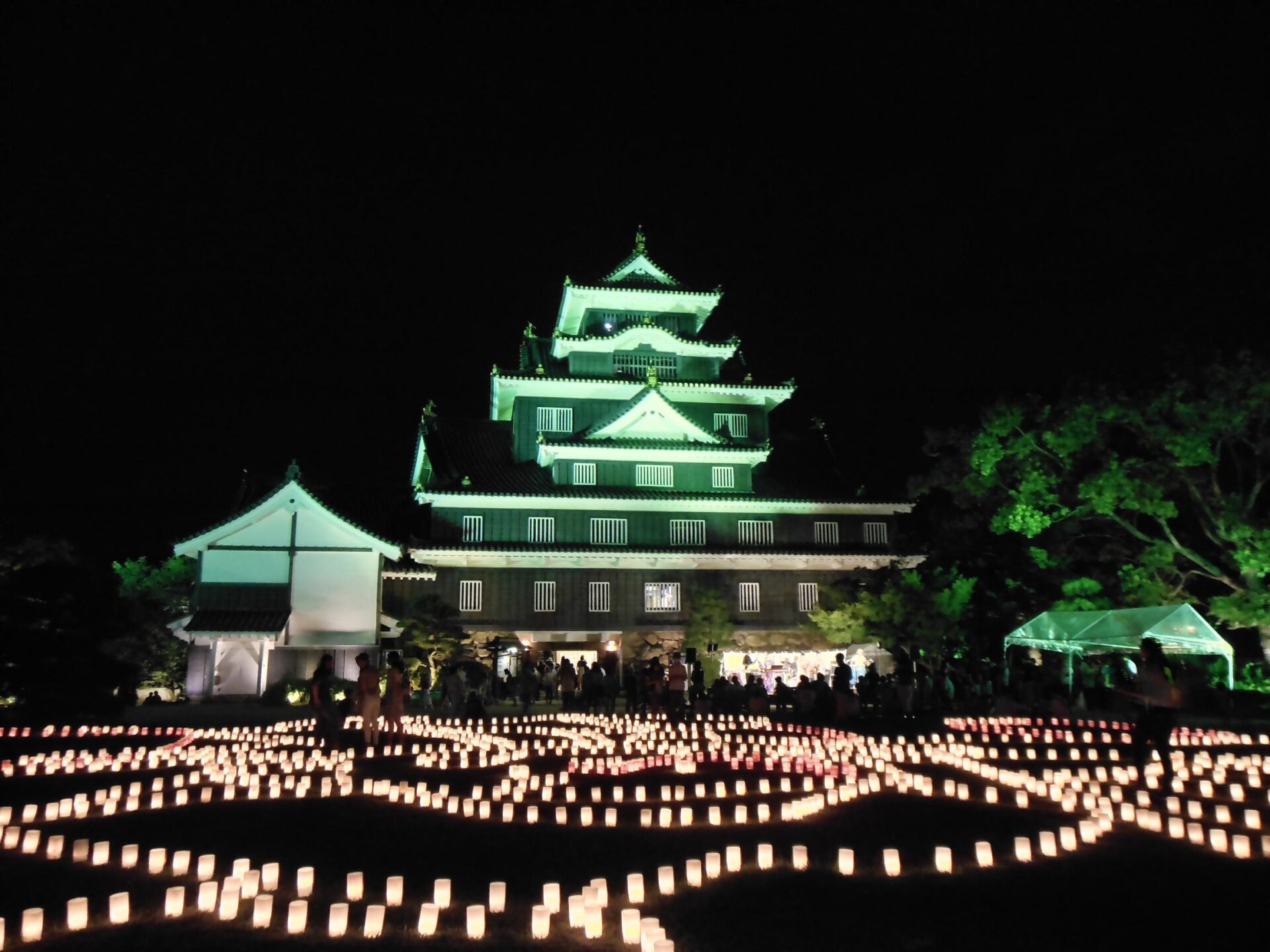 ライトアップされて幻想的な雰囲気に包まれた夜の岡山城